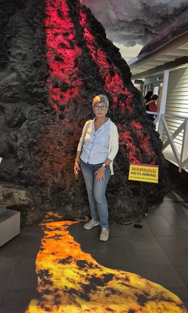 20260224_124151 - copia