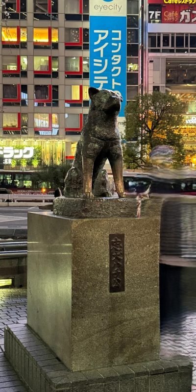 WhatsApp Image 2026-03-24 at 10.16.58